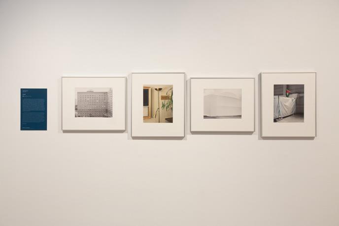 50114